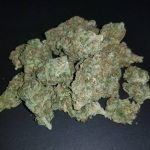 Sensi-Star Kush Online