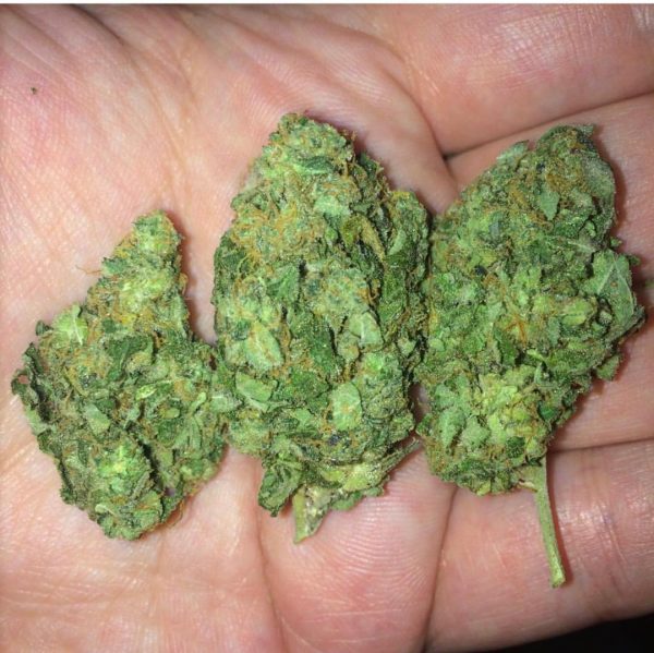buy weed online uk